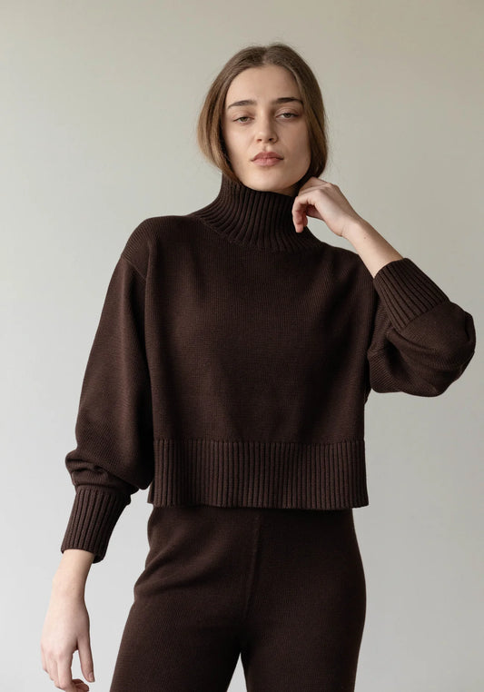 Crop Turtleneck